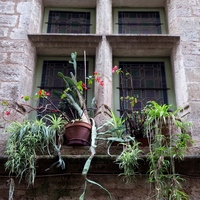 Photo de France - Pézenas